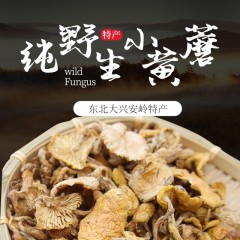 小黄蘑干货500g东北特产非滑子菇大兴安岭山货纯野生小黄蘑黄松蘑