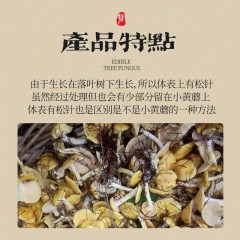 小黄蘑干货500g东北特产非滑子菇大兴安岭山货纯野生小黄蘑黄松蘑