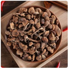 东北特产山货榛蘑干货营养菌菇小鸡炖蘑菇500g新鲜臻蘑野生香菇丁