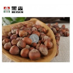 黑森东北特产大榛子500g袋装 原味薄皮开口山货土特产新货榛子